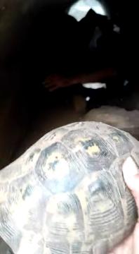 Haytap Marmaris'teki Kurtarma Çalışmalarında