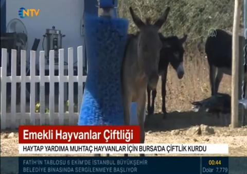 Haytap Emekli Hayvanlar Çiftliği (NTV 4 EKİM 2020)