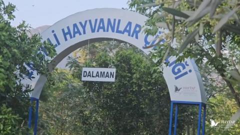 Dalaman Emekli Hayvanlar Çiftliğimiz Açılıyor - 2023