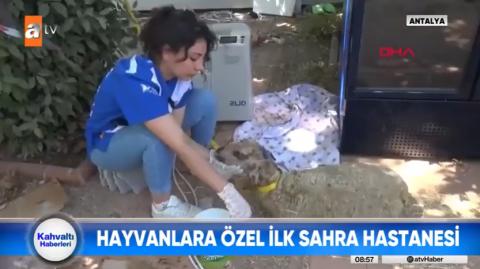 Basında Haytap Sahra Hastanesi- ATV Haber- 04.08.2021