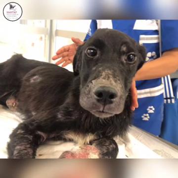 KURUMSAL ÇALIŞMALAR