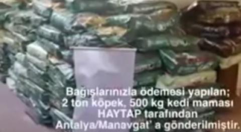 2 ton köpek, 500 kg kedi maması Antalya / Manavgat ' a gönderildi.