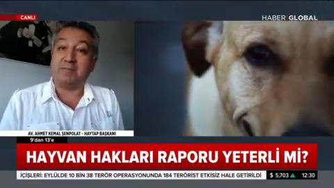 Menfaat grupları Yasanın değişmesini istemiyor