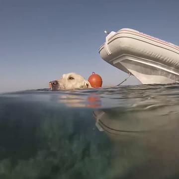 Şans artık yürüyor!