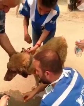 Manavgat'taki afet bölgesindeki çalışmalarımıza devam ediyoruz.