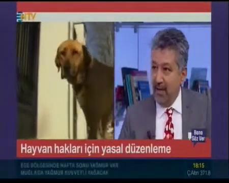 Çevre İhtisas Mahkemeleri neden kurulmalı ?  ( NTV Yayın Tarihi : 2019 )