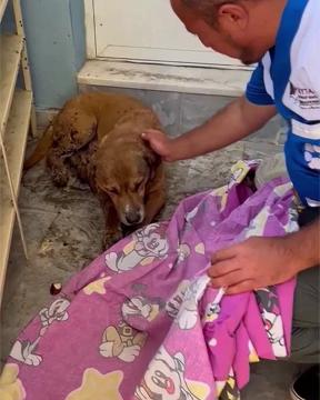 İzmir’deki yangın felaketi nedeniyle HAYTAP ekibi olarak sahada aktif çalışmalarımızı sürdürdük