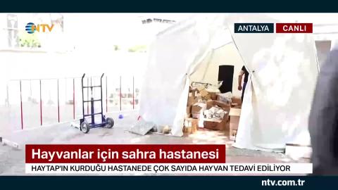 Haytap Sahra Hastanesi NTV Ana Haber Bülteni - 03.08.21