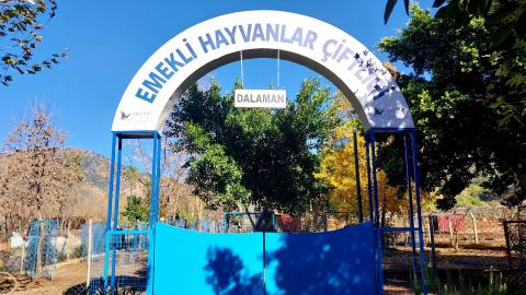 Haytap Dalaman Emekli Hayvanlar Çiftliği