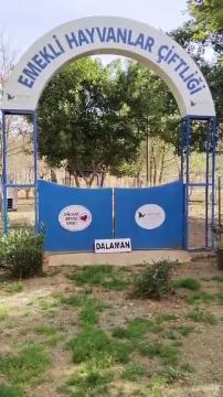 HAYTAP Dalaman Emekli Hayvanlar Çiftliği 2025