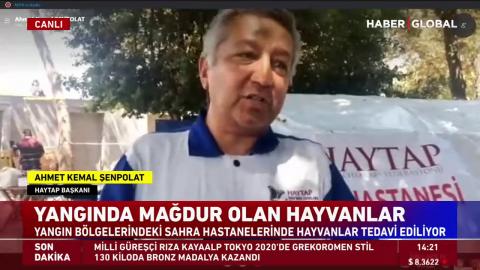 Haytap yangında zarar gören hayvanlar için Manavgat'ta sahra hastanesi kurdu..