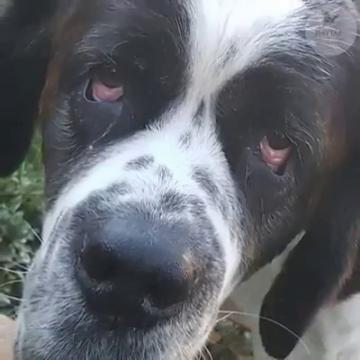 Anneliğini bile yaşatmadılar Minik kıza.