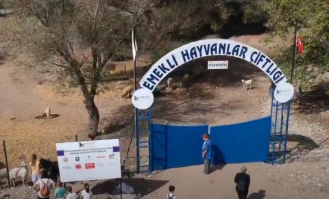 Osmaniye’de, ‘4 Ekim Hayvan Hakları Koruma Günü’ etkinlikleri