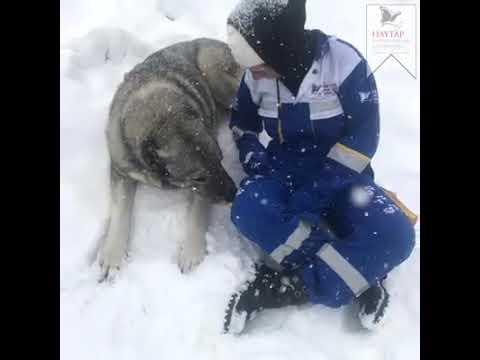 Kar onlar için açlık demek...