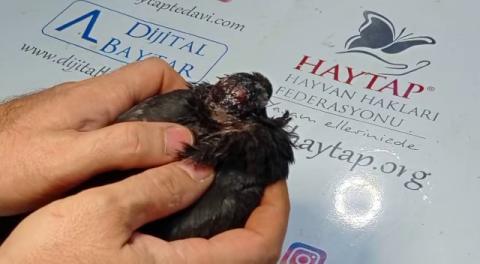 HAYTAP Osmaniye Tedavi Kliniği