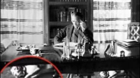 Atatürk'ün En Sevdiği Köpek Foks