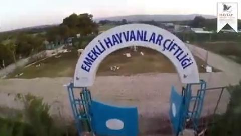 Haytap Retirement Animals Sanctuary