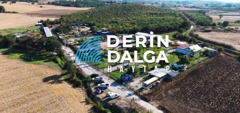 Sokak Hayvanları ve Hayvan Bakımevleri