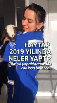 Haytap 2019'da Neler Yaptı? (Özet)