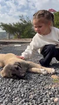Haytap 20 Ulusal Temsilciler Toplantısı Bergama 2025