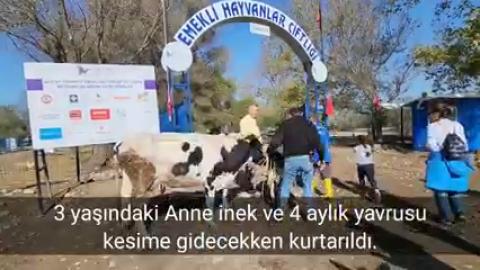 Haytap Osmaniye Emekli Hayvanlar Çiftliği Açıldı-2022