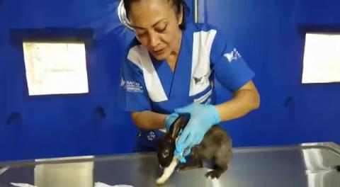 Manavgat'ta tam teçhizatlı ilk Haytap Sahra Hastanesini kurduk.