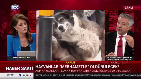 Uyutma kelimesini kullanan sömürge valisidir!