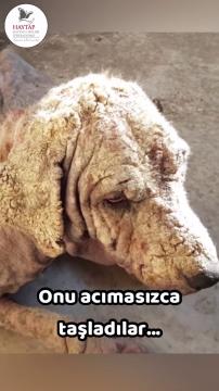 Bağışlarınızı nerelerde kullanıyoruz?