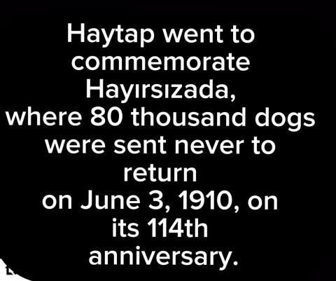 We didnt forget Hayırsızada!