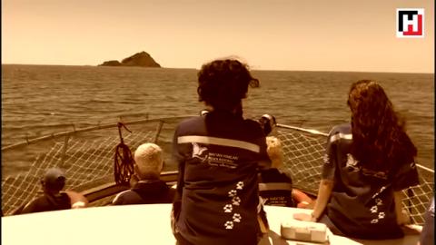 Haytap , 80 bin köpeğin geri dönmemek üzere ölüme yollandığı Hayırsızada'ya 3 Haziran 1910 'un yıldö