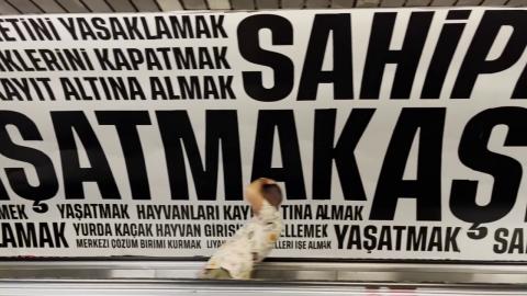 İstanbul Metro Istasyonlarında ki Farkındalık çalışmalarımız Hala Devam Ediyor Siz Ne Kadar ölüm